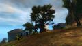 Thumbnail for version as of 09:16, 25 April 2016