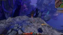 Skyscale Egg 10.jpg
