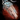 Sparking Petrified Wood.png