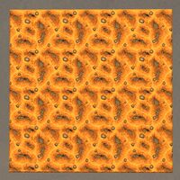 Super Cave Floor top.jpg