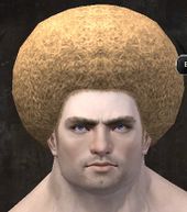 Unique norn male hair front 5.jpg