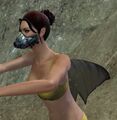 Agaleus