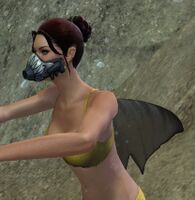 Agaleus.jpg