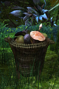 Coztic Itzel Belongings.jpg