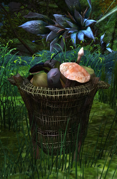 File:Coztic Itzel Belongings.jpg