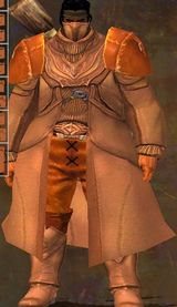 Appearance on medium armor.