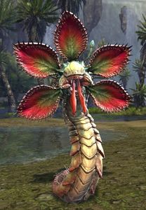 Fanged Iboga.jpg