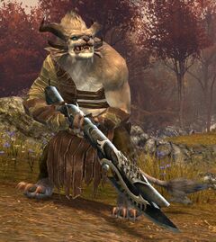 Faus Sundershout.jpg