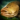 Goliath Grouper