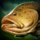 Goliath Grouper.png