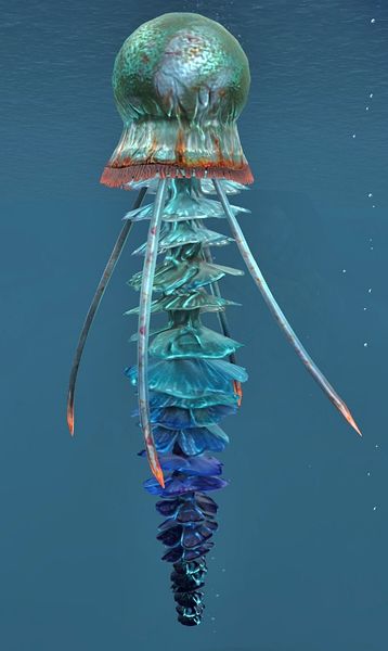 File:Jellyfish.jpg