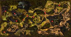Jungle Totem Hunter map.jpg