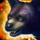 Mini Black Bear Cub.png