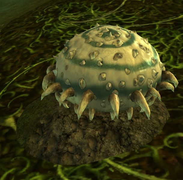 File:Planted Mushroom.jpg
