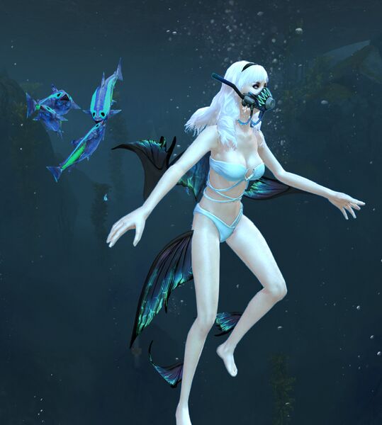 File:Selachimorpha human.jpg