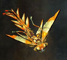 Sun-Kissed Wavehawk Skimmer2.jpg