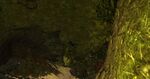 Treetop Retriever 8 location.jpg