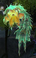 Thumbnail for version as of 07:58, 18 March 2016
