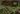 Earthlord's Gap map.jpg