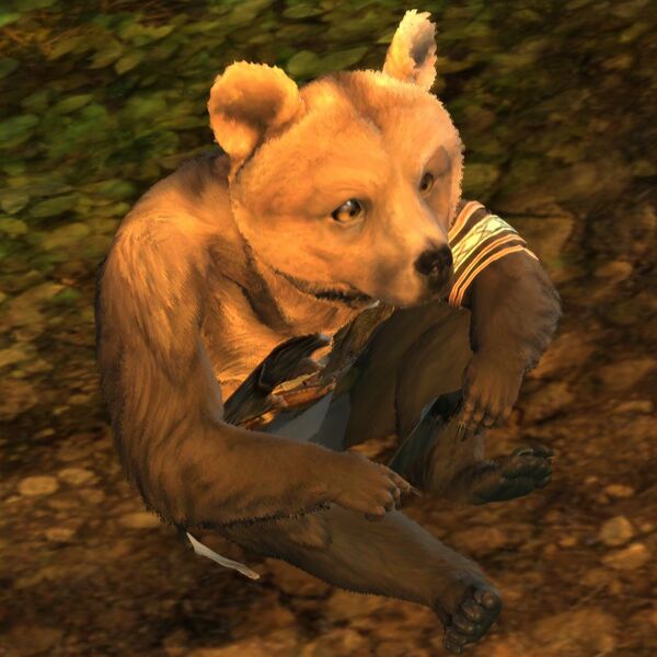 File:Lowland Kodan cub Stoutheart sit.jpg