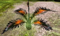 Noxious Plant.jpg