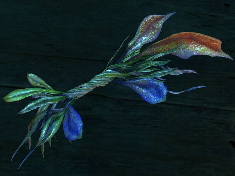 File:Seaweed (object).jpg