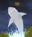 Shark emote