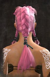 Unique norn female hair back 16.jpg
