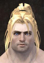 Unique norn male hair front 3.jpg