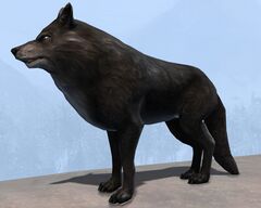 Wolf (black).jpg