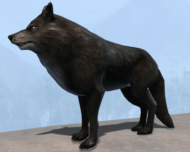 File:Wolf (black).jpg