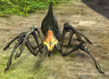 Cave Spider.jpg