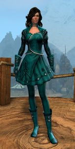 Appearance on light armor.