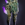 Etherbound Legguard.png