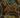 Greystone Rise map.jpg