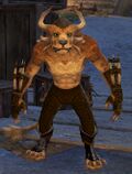 Olmakhan Windcaller 3.jpg