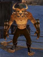 Olmakhan Windcaller 3.jpg