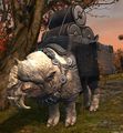 Whispers' Caravan (Marmox)