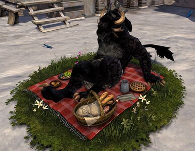 Picnic Blanket Chair charr male.jpg