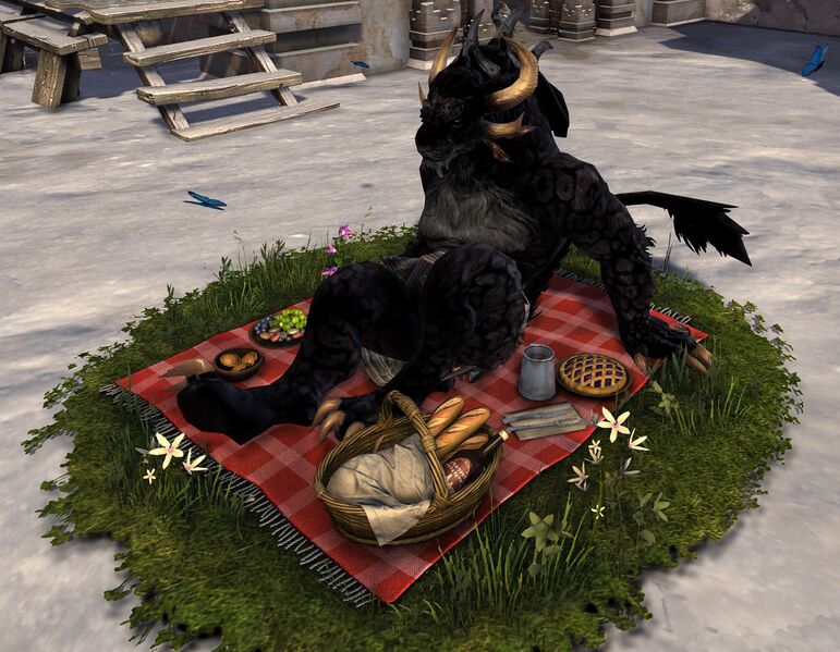 File:Picnic Blanket Chair charr male.jpg