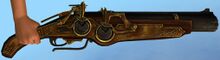 Privateer Rifle.jpg