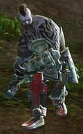 Risen Brute (norn male).jpg