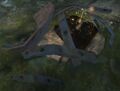 Thumbnail for version as of 02:21, 22 May 2025