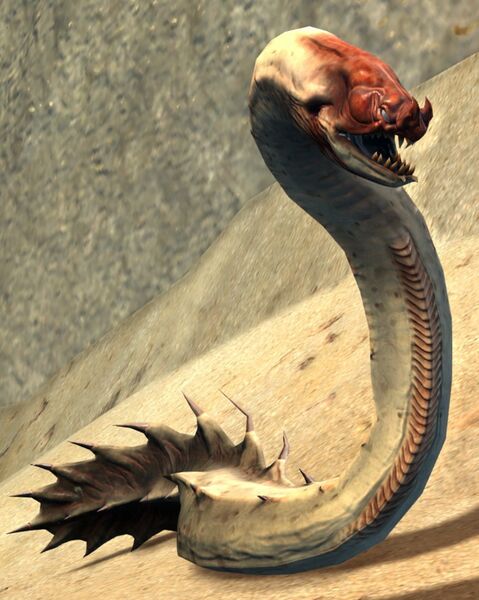 File:Sand Eel.jpg