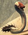 Sand Eel.jpg