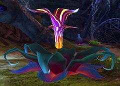 Spell Blossom.jpg