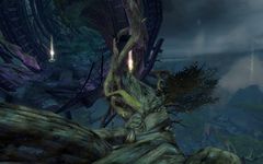 Verdant Brink Insight- Outside Noble Ledges.jpg