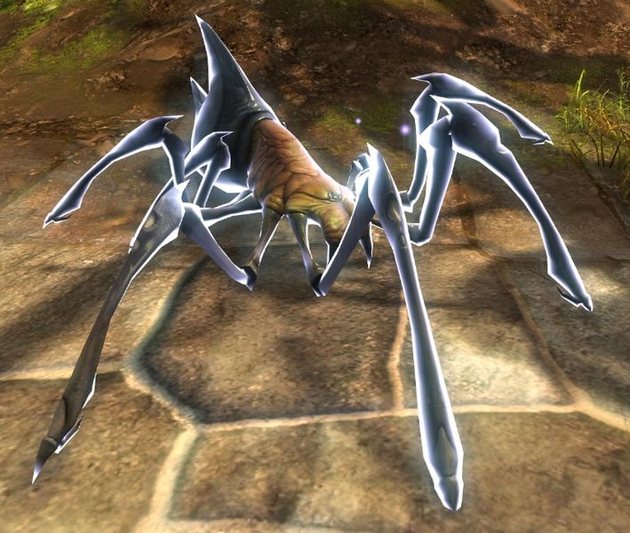 File:Veteran Celestial Challenger (spider).jpg