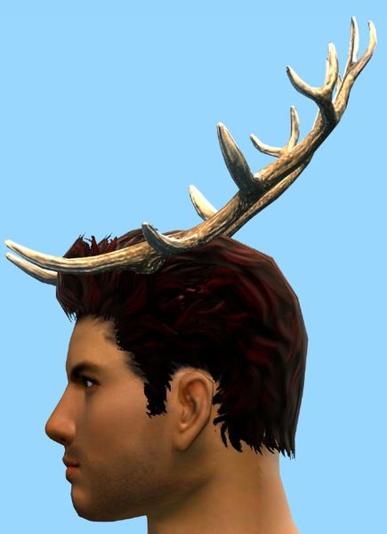 File:Winter Antlers side.jpg