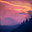Biography Dusk.png